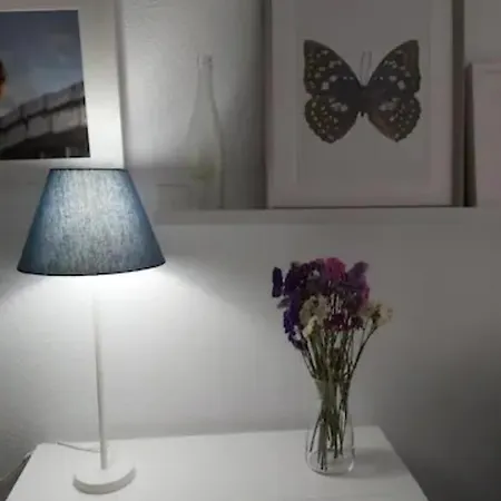 Vivienda Proxima A La Puerta Del Sol *